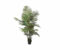 Kunstpalm potis 160cm
