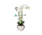 Kunstorhidee potis 53cm